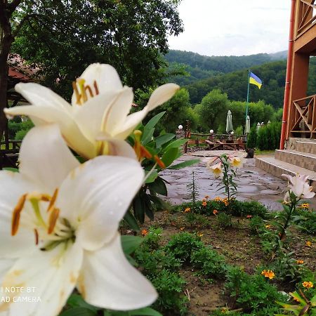 Bilovoddya Hotel Sil Ngoại thất bức ảnh
