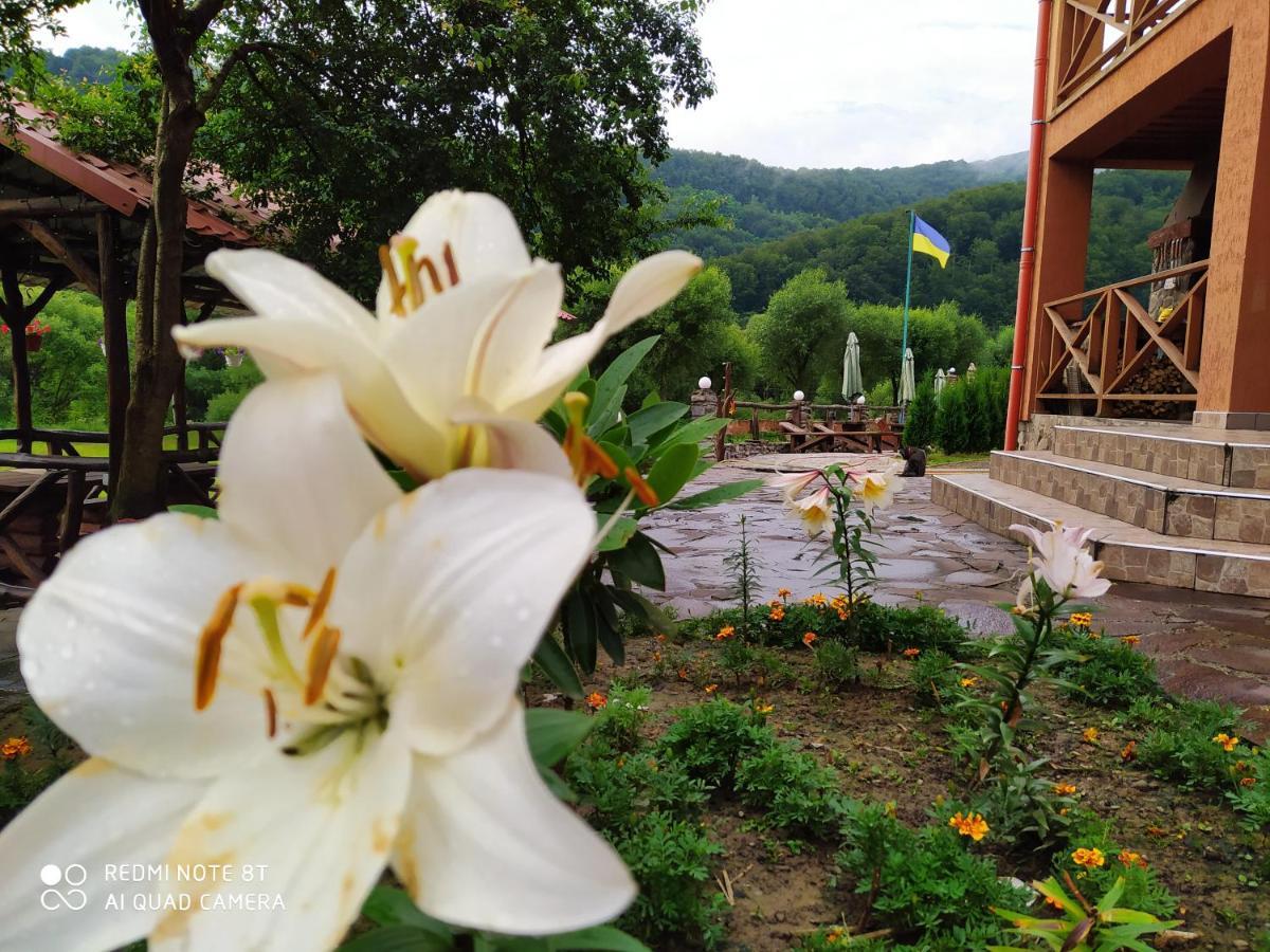 Bilovoddya Hotel Sil Ngoại thất bức ảnh
